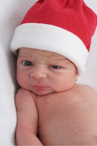Holiday Newborn Photo/Picture